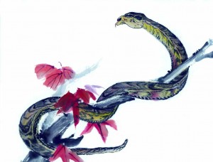 7135212_161101187000_2