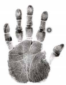 20150529115246044604