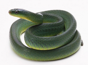 20150824131158425842