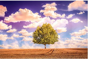 2022年农历十二月