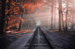 2022年农历十一月