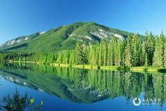 2024年必定生儿子的生肖，容易生儿子的属相女有哪些