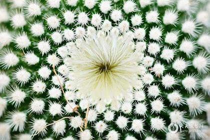 2025年除夕接财神吉时：把握财源滚滚来的最佳时刻