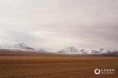 孙姓取有涵养的名字女孩 女孩单字取名推荐