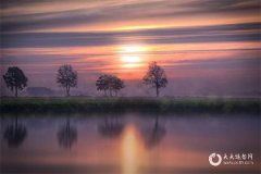 属虎女适合哪种职业？属虎女人从